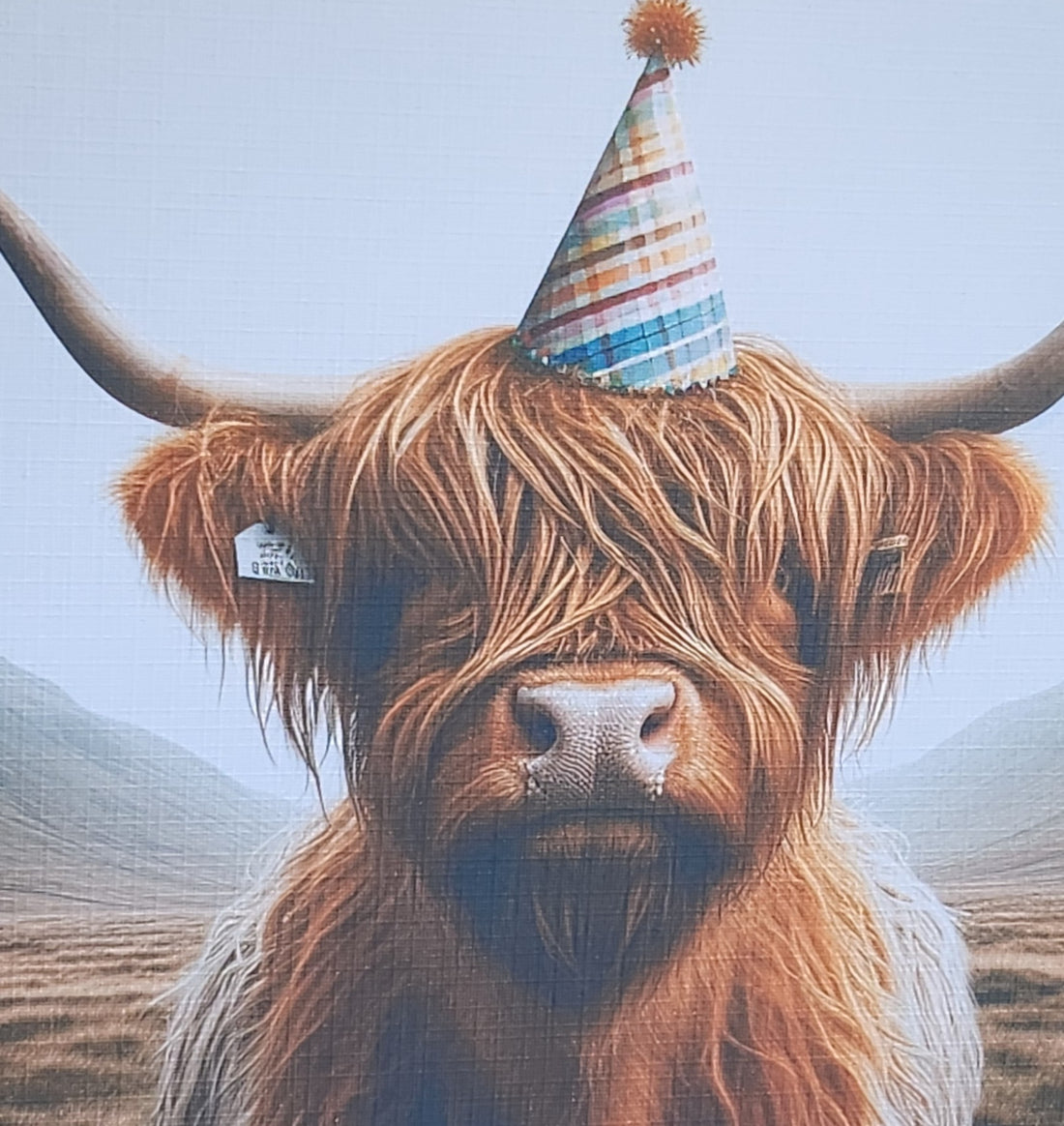 Highland Cow Birthday Card Highland Coo With Birthday Hat Happy Birthday Handmade Linen Effect Card Square Free Delivery Highland Cow Friend (Copy)