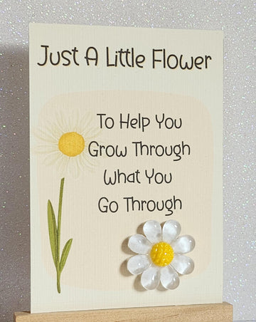 Flower Pocket Hug 'Just A Little Flower To Help You Grow Through What You Go Through' Daisy On Gift Card Suicide Prevention Anti Bullying