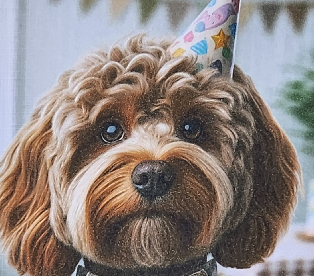 Cockapoo Birthday Card Cockapoo Wearing Birthday Hat & Bow Tie Happy Birthday Mummy Daddy Handmade Linen Effect Card Square Free Delivery (Copy)