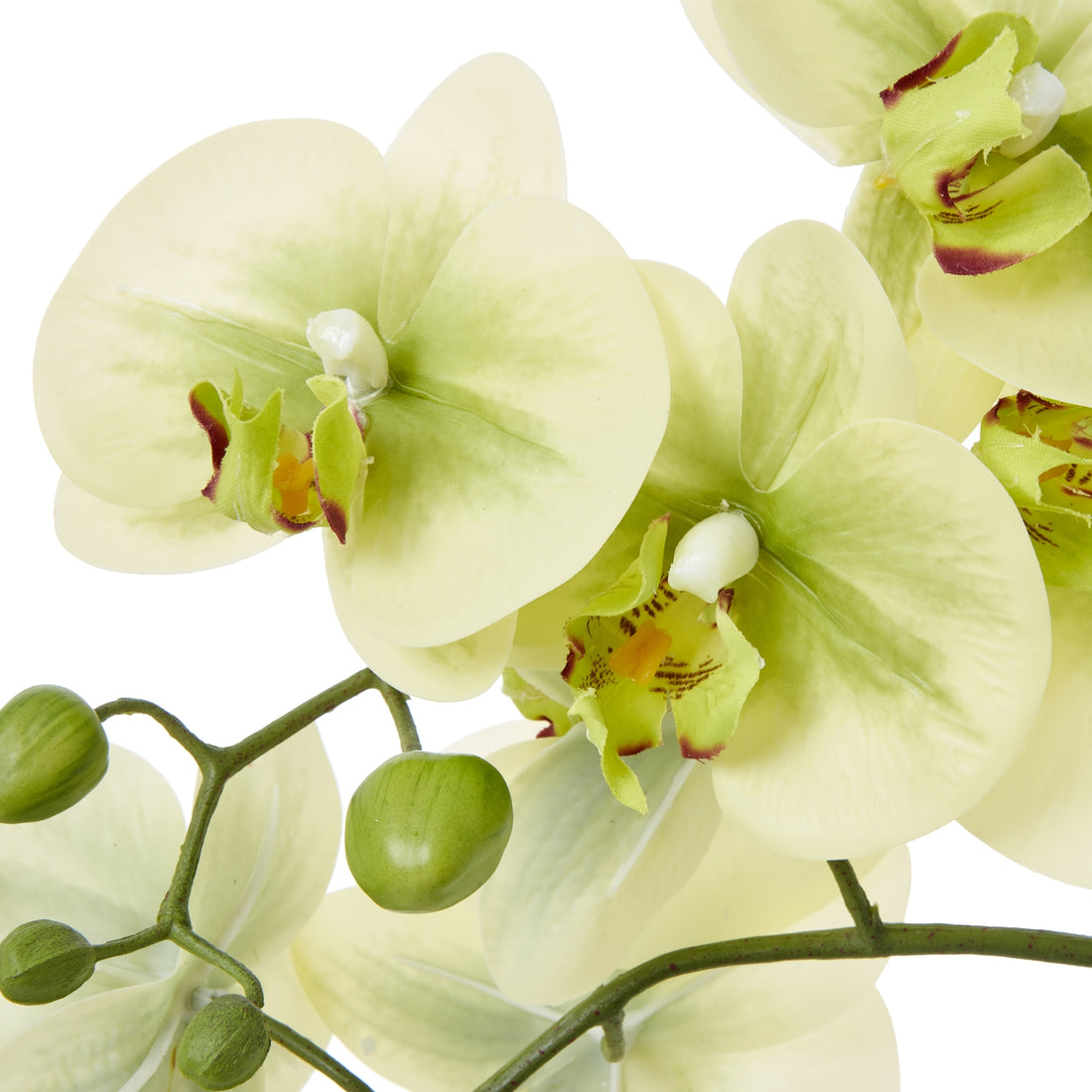 Faux Phalaenopsis Orchid In Ceramic Pot Handcrafted 59cm High