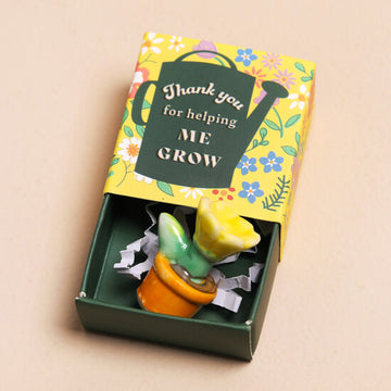 Lisa Angel Tiny Matchbox Ceramic Plant Hug Token Matchbox Ceramic Plant 'Thank You For Helping Me Grow' Lisa Angel Positivity Gift
