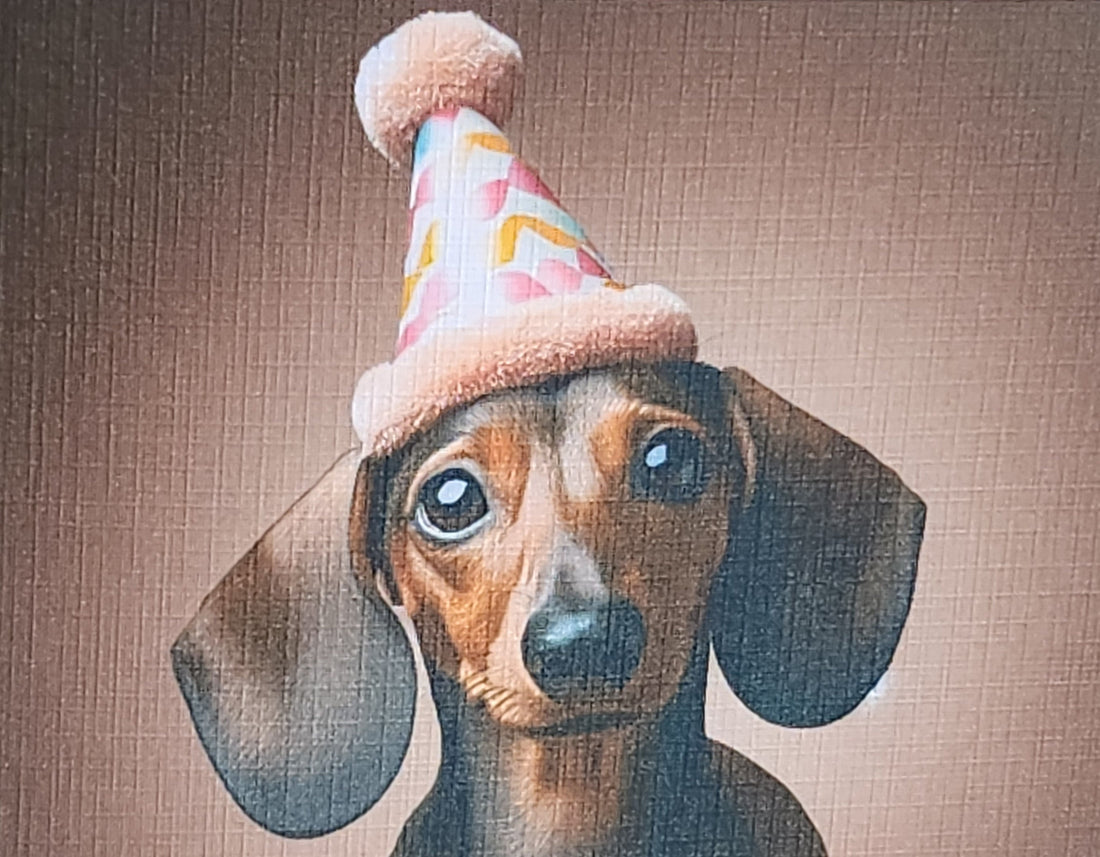 Dachshund Wearing Birthday Hat Card