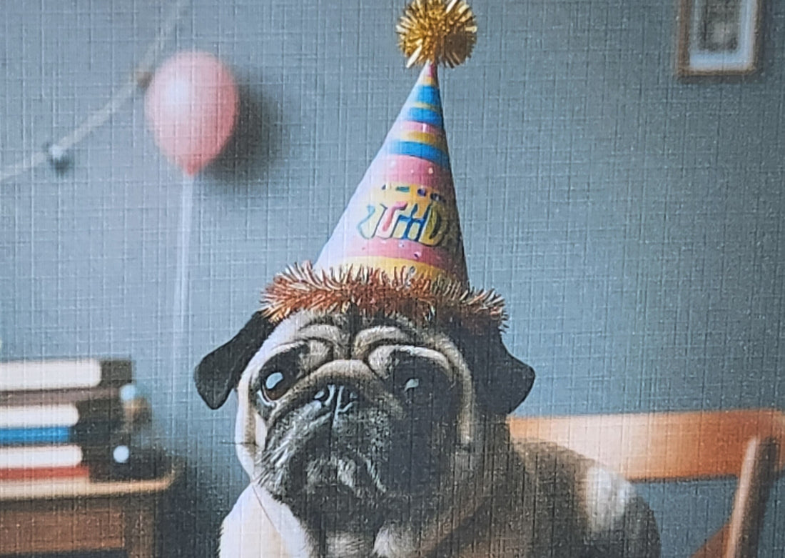 Pug Birthday Card