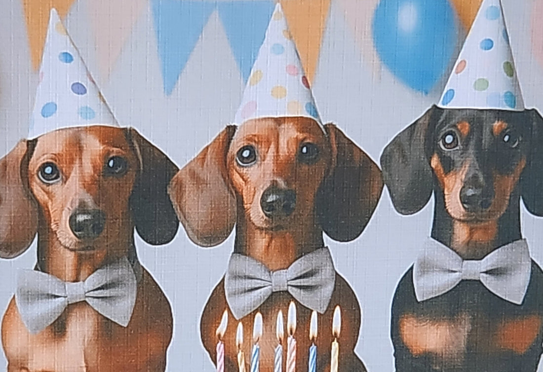 Dachshund Birthday Card Dachshunds Wearing Birthday Hat Happy Birthday Mummy Daddy Daughter Handmade Linen Effect Card Square Free Delivery