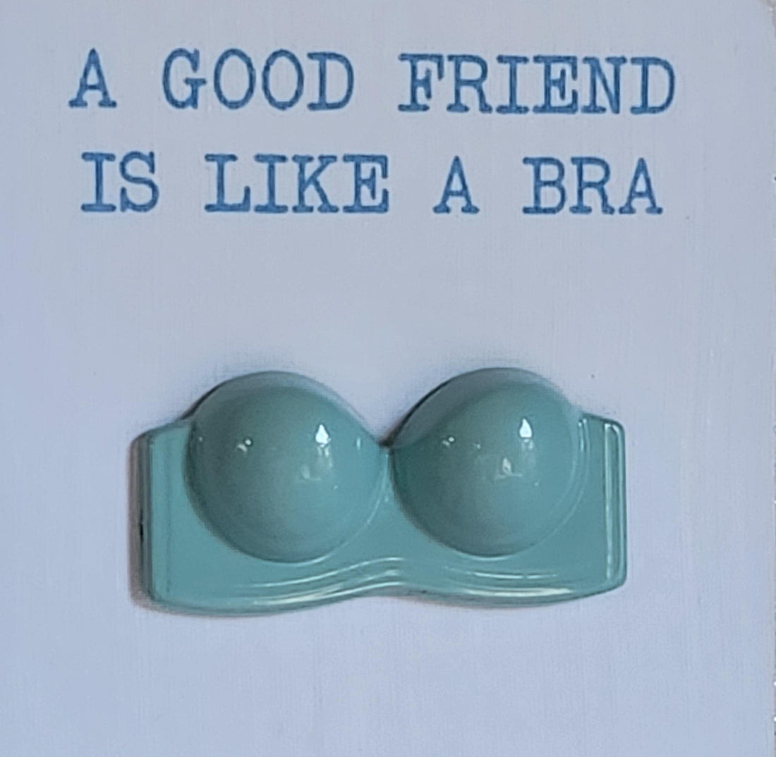 Bra Pocket Hug On Gift Card 'A Good Friend Is Like A Bra Hard To Find Supportive Uplifting & Always Close To Your Heart' Friend Hug Token