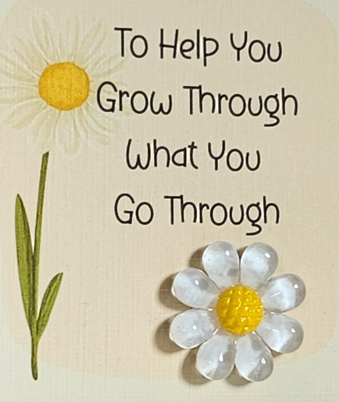 Flower Pocket Hug 'Just A Little Flower To Help You Grow Through What You Go Through'  Daisy On Gift Card Suicide Prevention Anti Bullying