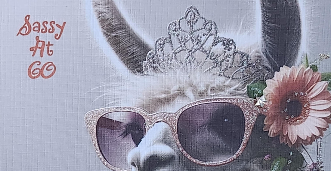 Llama 60th Birthday Card Llama With Flowers & Diamante Sunglasses Swarovski Crystal Handmade White Linen Effect Card Square Free Delivery