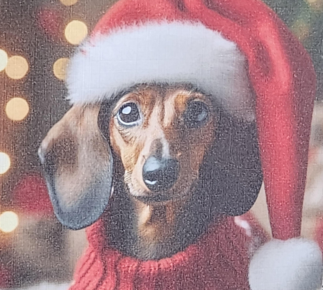 Dachshund Christmas Card Dachshund Through The Snow Dachshund Wearing Santa Hat With Christmas Tree Fur Baby Festive Scene  Free Delivery