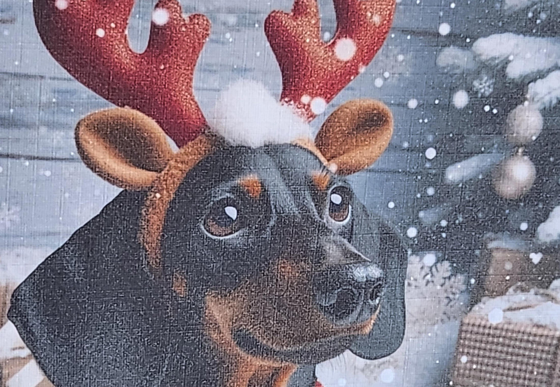 Dachshund Christmas Card Dachshund Wearing Reindeer Antlers With Christmas Tree Snow Fur Baby Festive Scene Christmas Gifts Free Delivery