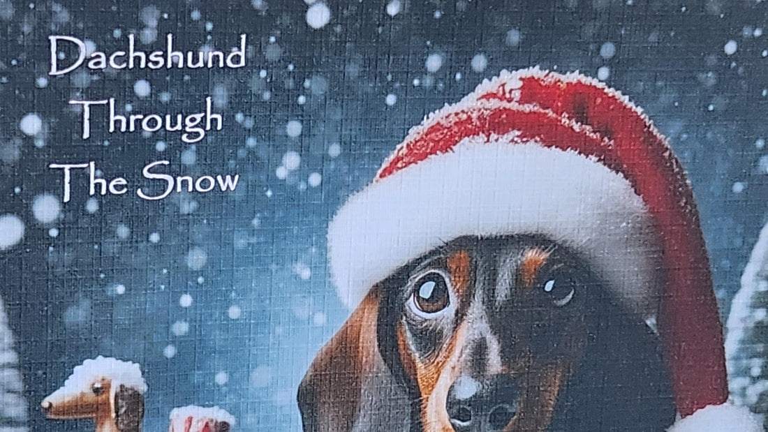 Dachshund Christmas Card 'Dachshund Through The Snow' Dachshund Wearing Santa Hat With Sleigh Christmas Card Festive Scene  Free Delivery