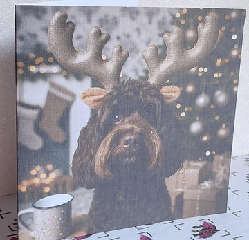Cockapoo Christmas Card Cockapoo Wearing Gold Reindeer Antlers With Christmas Tree Snow Fur Baby  Free Delivery