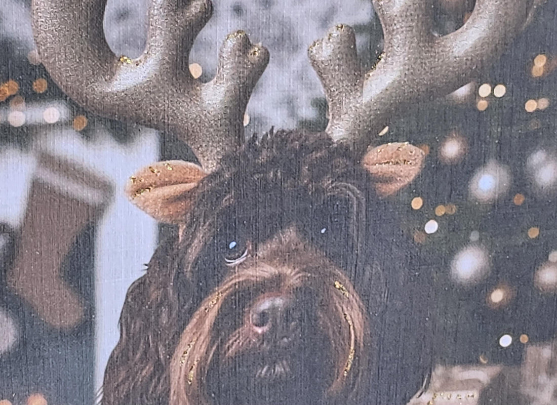 Cockapoo Christmas Card Cockapoo Wearing Gold Reindeer Antlers With Christmas Tree Snow Fur Baby  Free Delivery